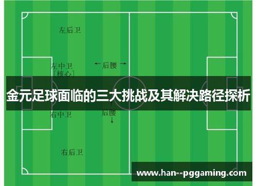 金元足球面临的三大挑战及其解决路径探析