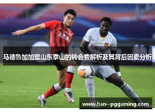 马德鲁加加盟山东泰山的转会费解析及其背后因素分析