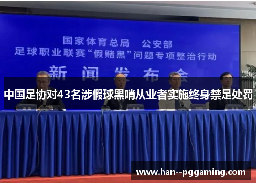 中国足协对43名涉假球黑哨从业者实施终身禁足处罚